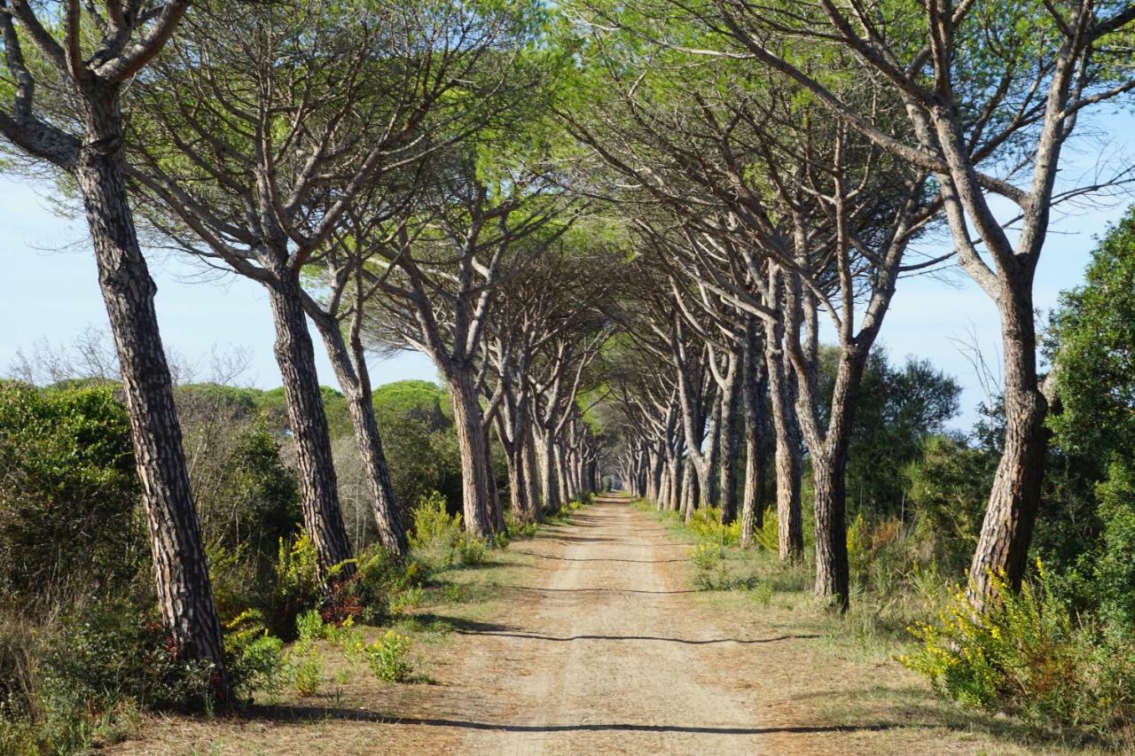 Tenuta San Carlo Ξενοδοχείο Marina Di Grosseto Εξωτερικό φωτογραφία