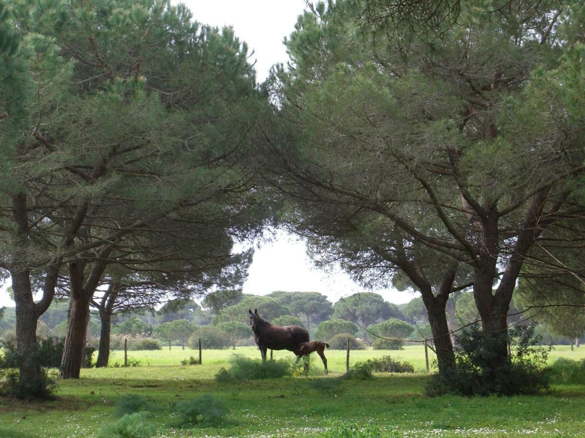 Tenuta San Carlo Ξενοδοχείο Marina Di Grosseto Εξωτερικό φωτογραφία